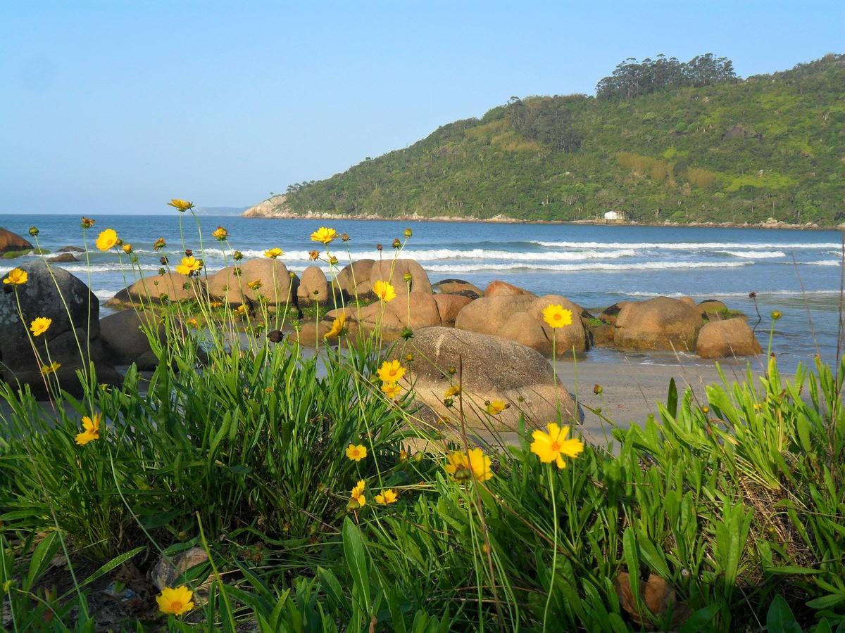 Bay Conceicao